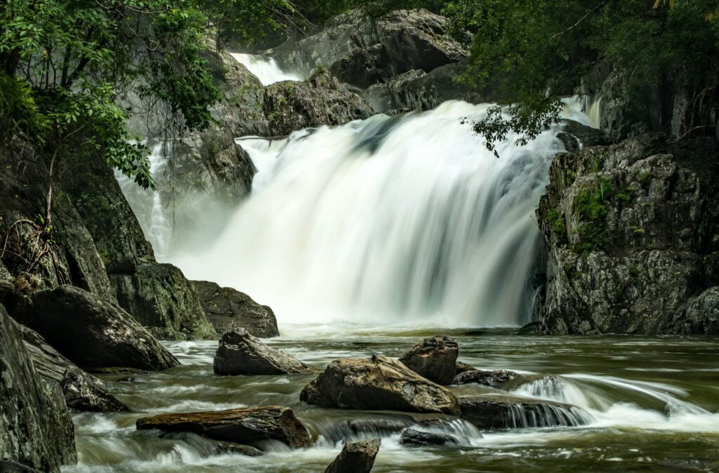 cascading waterfalls at middle of forest