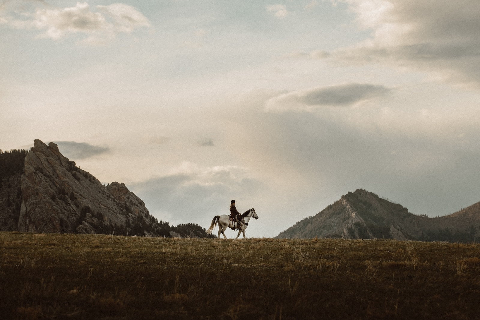 2 person riding horse on green grass field during daytime