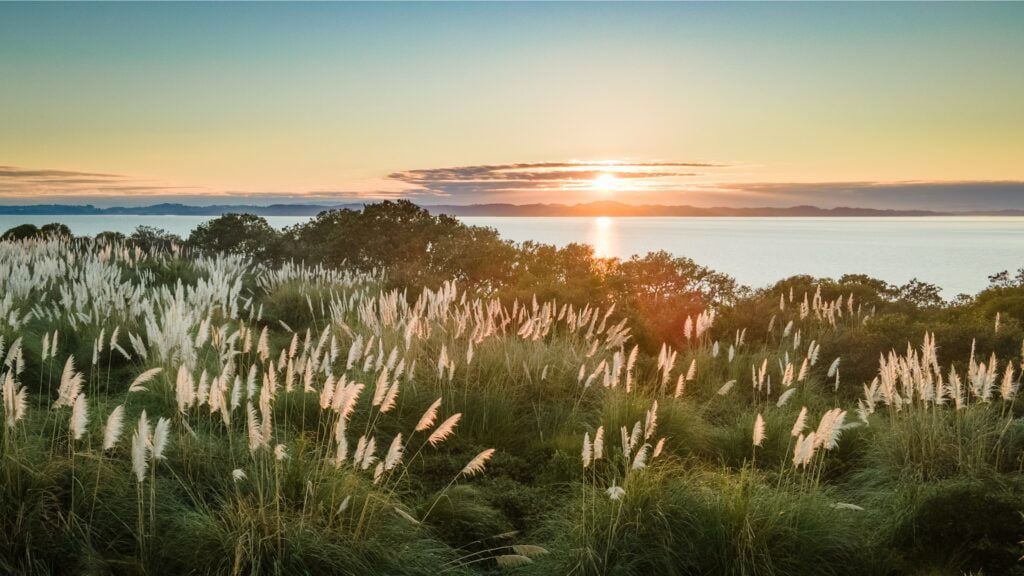 Auckland VVT Nouvelle-Zélande