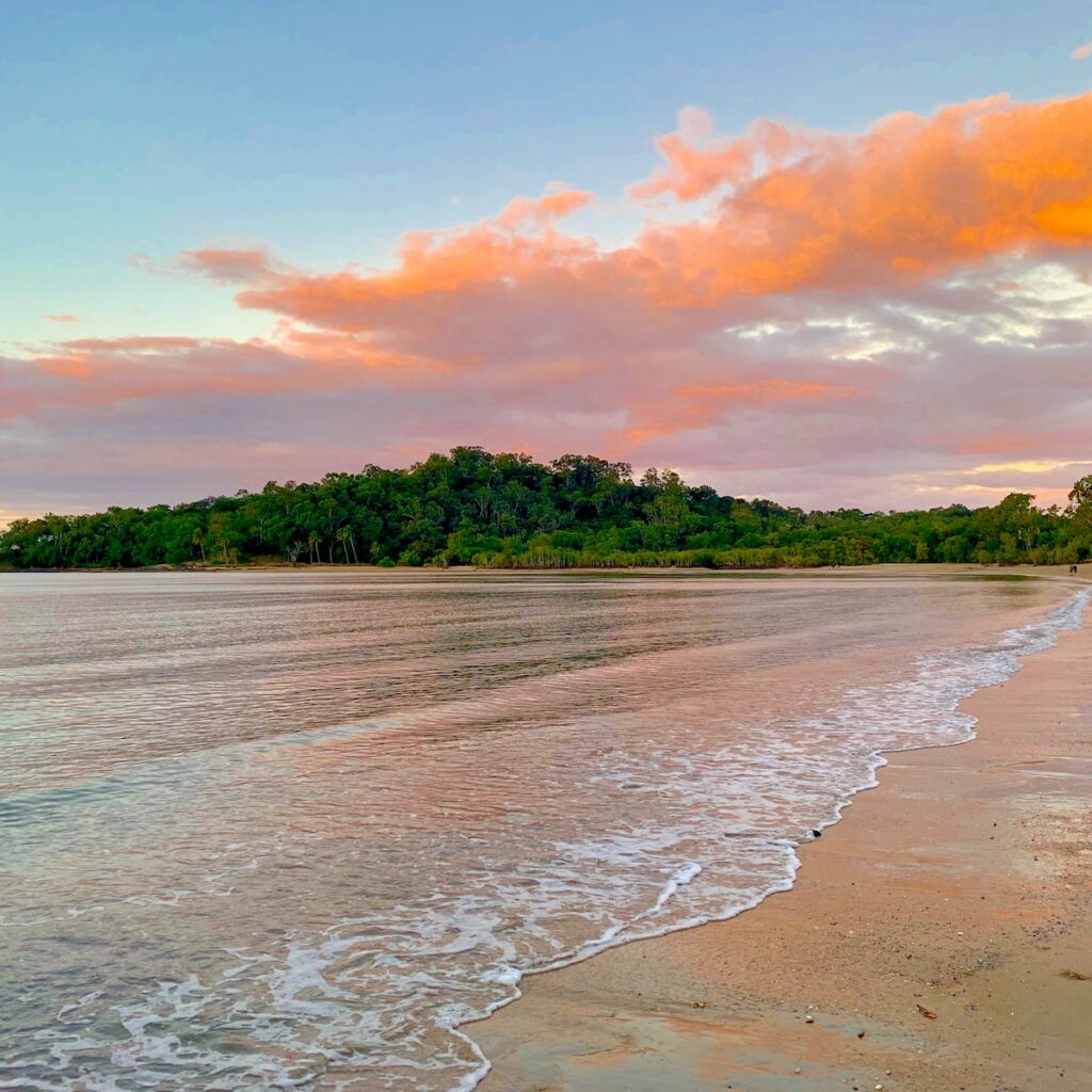 trees on seashore at daytime