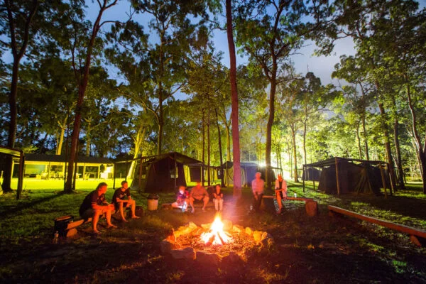 Activités Cairns PVT