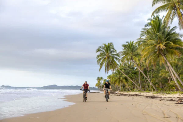 Activités Cairns PVT