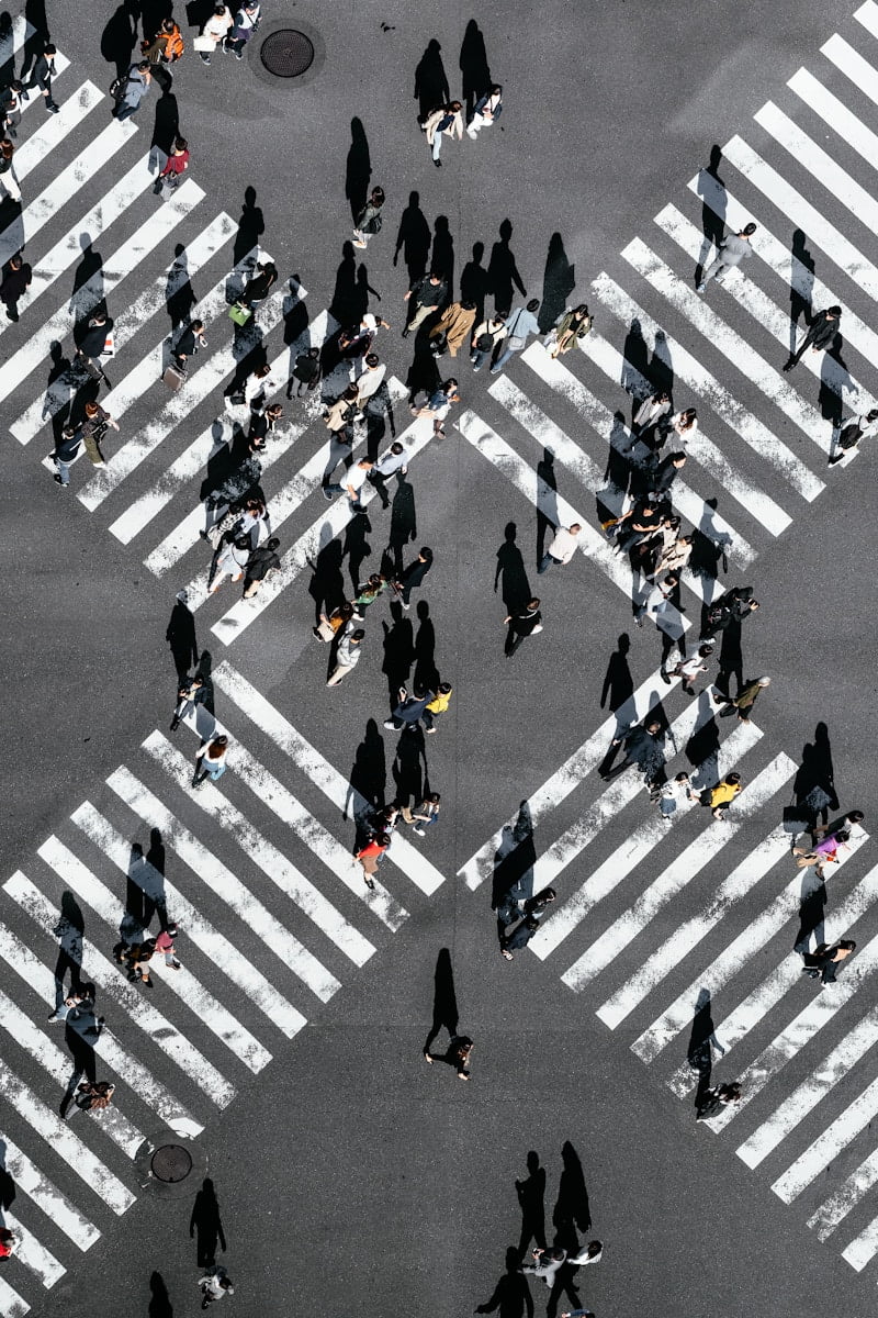 aerial view of people walking on cross pedestrian lane