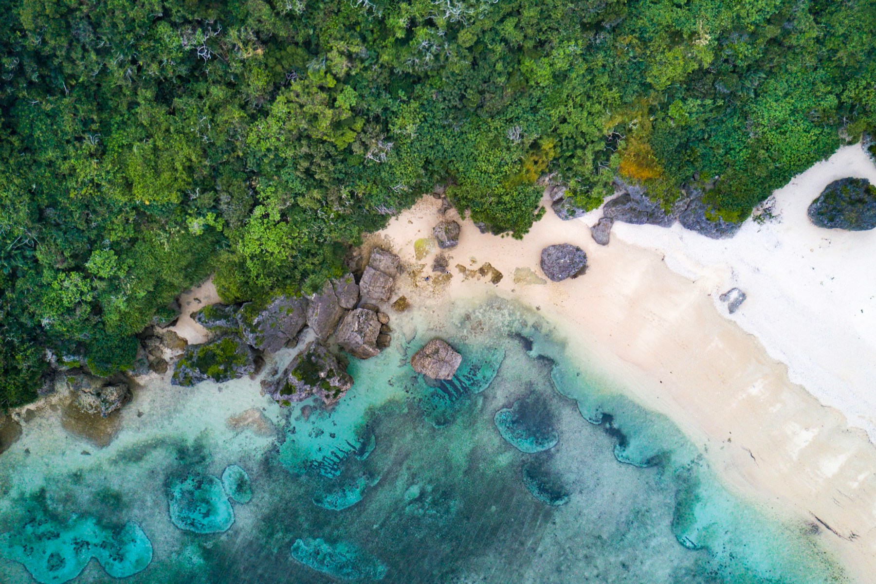 aerial photography of sea beside green trees during daytime