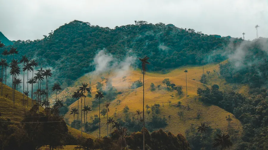 PVT en colombie