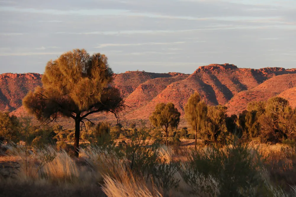 Cattle station outback australien. Un lever de soleil observé par une personne travailler dans un ranch en PVT Australie.